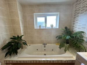 Photo 37- click for photo gallery